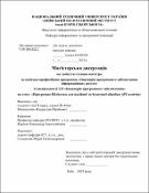 Ескіз